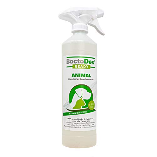 BactoDes - Animal Ready Geruchsneutralisierer Sprayflasche 500ml gebrauchsfertig - Starker Enzymreiniger...
