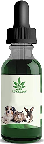 VITAL24 - NATUREXTRAKT 5% - 10ML ÖL TROPFEN - FÜR HUNDE UND KATZEN - Omega 3-6-9, Vitamine, Mineralien,...