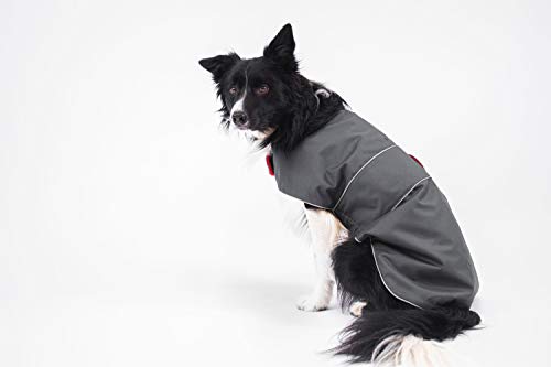 BedDog® Hundemantel mit Reflektoren, Wasserabweisende Hunde-Jacke, mit Fleece gefüttert, regulierender...