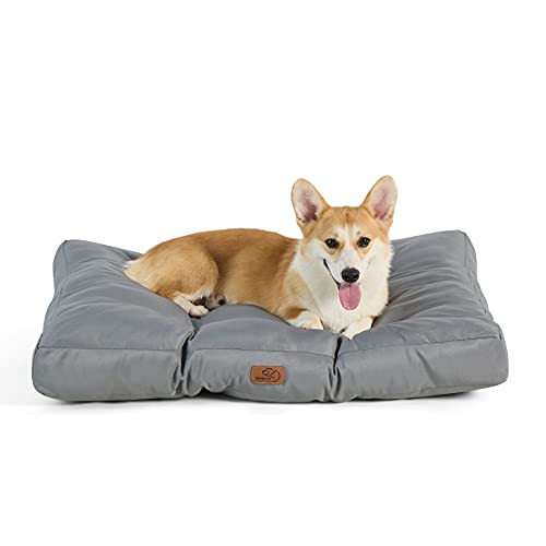 Bedsure Hundekissen kleine Hunde waschbar - 75x50cm Hundebett wasserdicht M für kleine, mittelgroße...