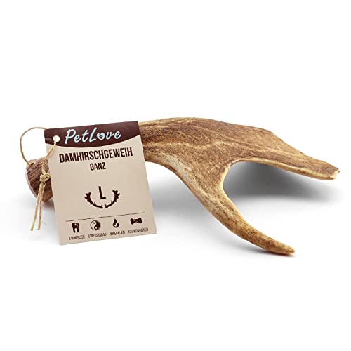 PetLove Damhirsch Geweihstange für Hunde & Welpen • Hirschgeweih Hund • Natürliches Geweih •...