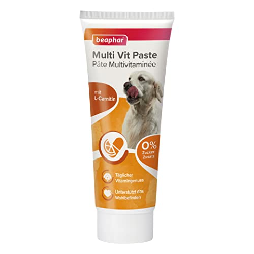 BEAPHAR - Multi Vit Paste Hund - Für Hunde - Mit Biotin, L-Carnitin - Für Strapazierfähige Haut Und...