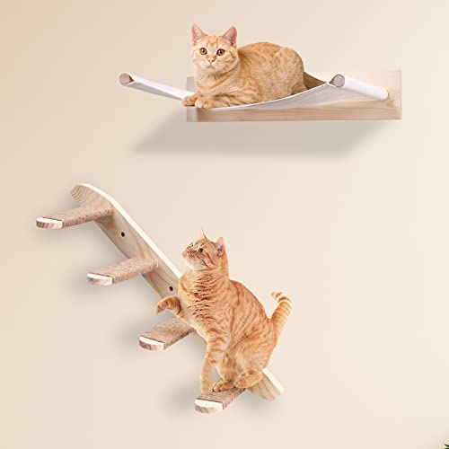 Kletterwand Katze,Katzenhängematte und Katzenkletterbrett,Katzenregal zur Wandmontage, Kletterwand Set...