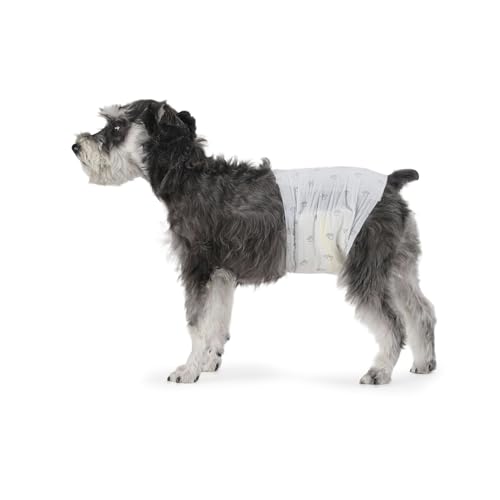 Amazon Basics Hundewindel für Rüden, Einwegwindeln, Größe M, Weiß, 30 Stück