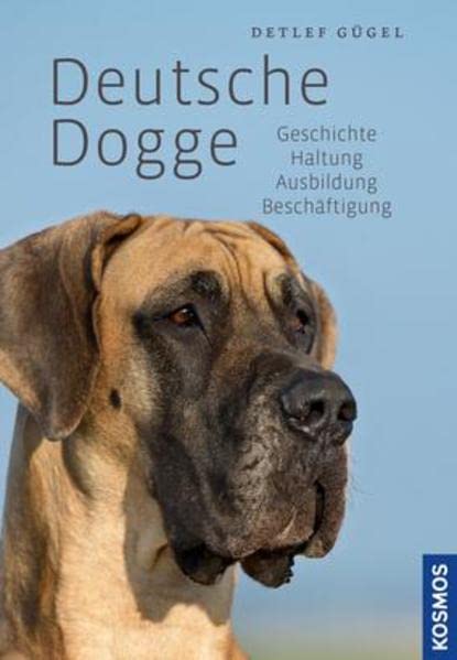 Deutsche Dogge: Geschichte, Haltung, Ausbildung, Beschäftigung