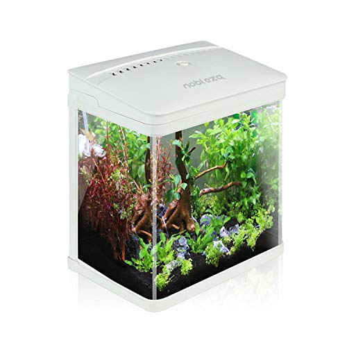 Die besten Nano Aquarium Komplettset zum Einstieg: Der Nano-Cube