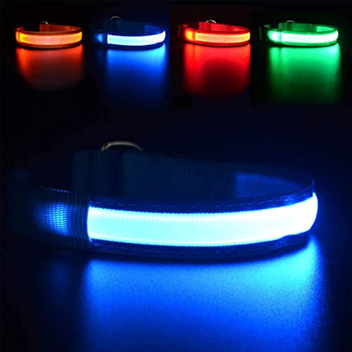 MASBRILL Hundehalsband Leuchtend USB Aufladbar Wasserdichtes LED Leuchthalsband für Kleine Mittlere...