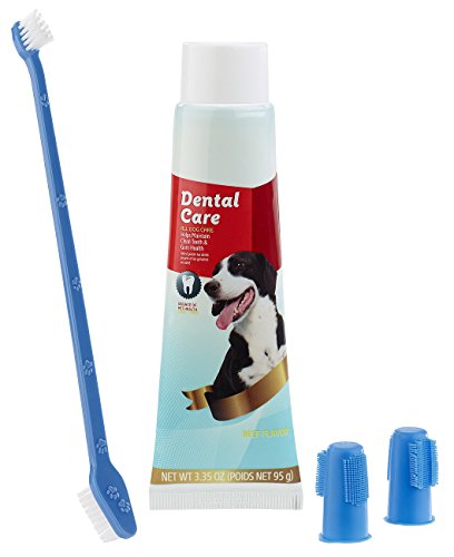 Sweetypet Hundezahnbürste: 4in1-Zahnpflege-Set für Hunde mit Zahnpasta, Zahnbürste, Fingerbürsten...