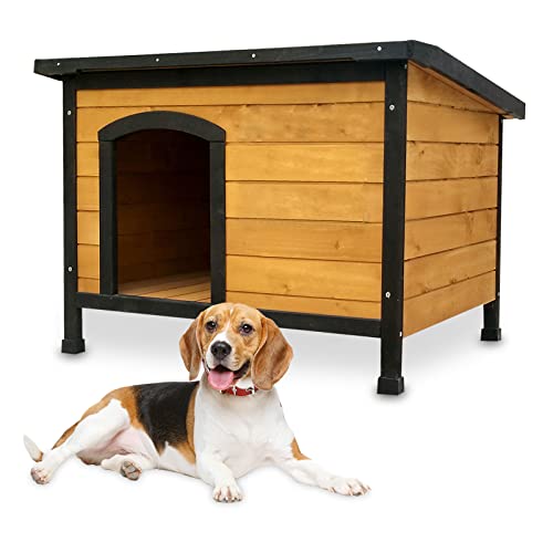 zooprinz wetterfeste Hundehütte Carlo massivem Holz und Dach zum Öffnen - perfekt für draußen - mit...