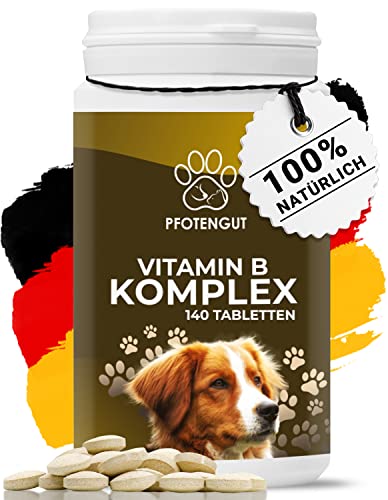PFOTENGUT® Vitamin B Komplex Hund [Made in Germany] - 140 Tabletten für 5 Monate - Hochdosierte B...