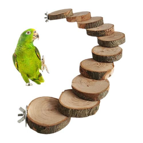 Protoence Leiter - Kletterspielzeug - Sitzstangen Ständer,Für Wellensittiche Nymphensittiche Finken Zur...