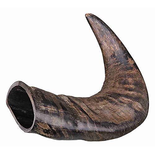 TX-27742 Buffalo Chewing Horn medium