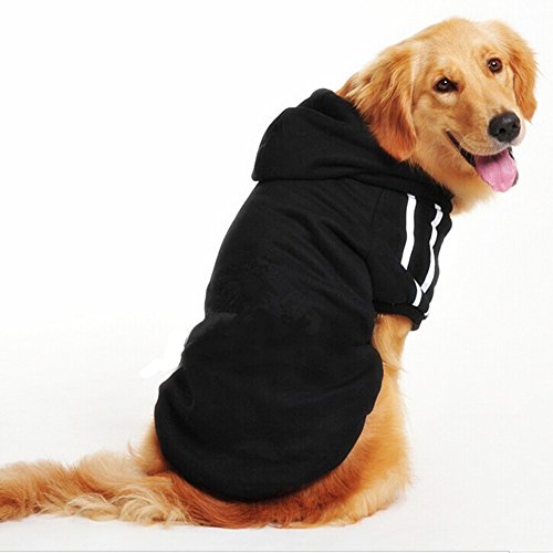 Kapuzenpullis für Hunde Hoodies (Kaufberatung) » Tierischehelden