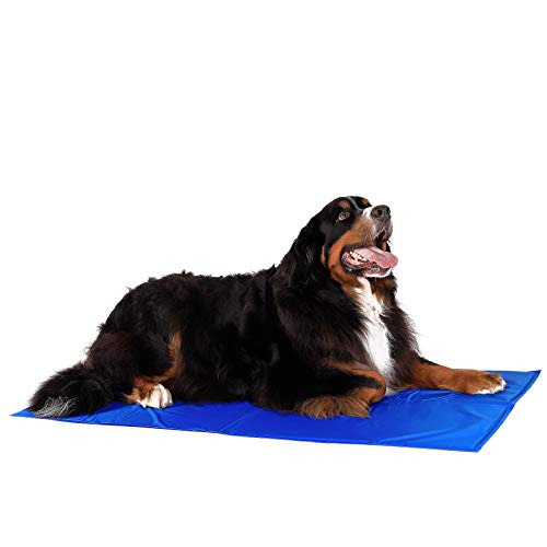 lionto Kühlmatte für Haustiere Hundekühlmatte kühlende Haustiermatte, (XL) 120x80 cm blau