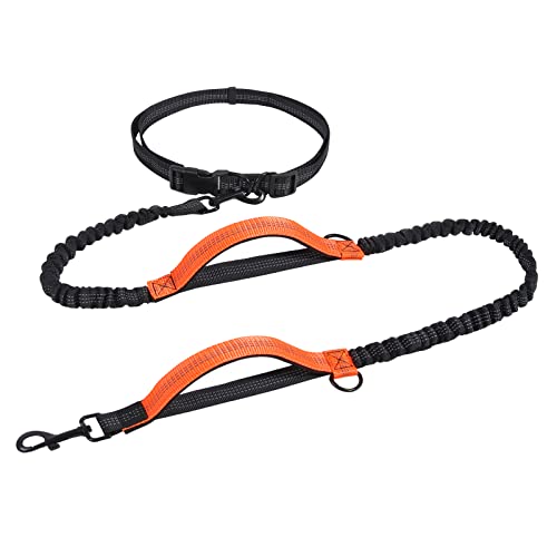 Snocyo Joggingleine Hunde, Jogging Hundeleine für Mittelgroße und Große Hunde, Elastische und...