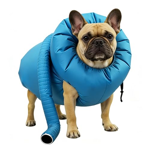 Haartrockner für Haustiere: luftdurchlässiger Hundetrockner, weicher Stoffbeutel, Bade-Zubehör für...