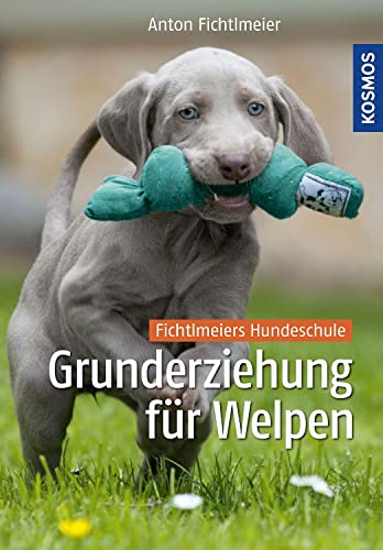 Grunderziehung für Welpen: Fichtlmeiers Hundeschule