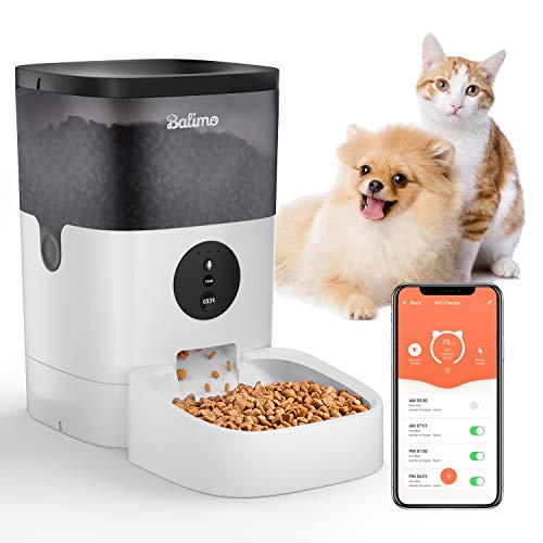 Die 3 besten Futterautomaten für Hunde (Ratgeber) » Tierischehelden
