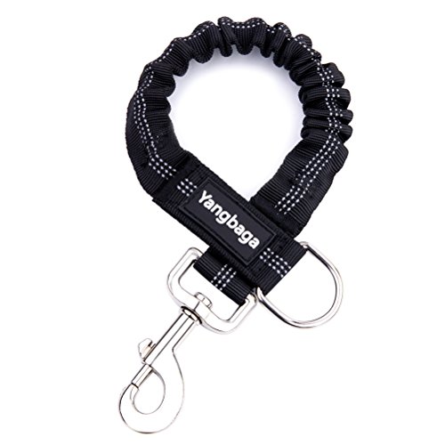 Ruckdämpfer für Hunde Leine Yangbaga Elastische Hundeleine Nylon-Kurzleine Perfekte Dämpfung beim...