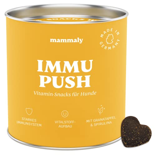 mammaly® Immu Push Snack, Nahrungsergänzungsmittel Hund, Nahrungsergänzungen & Vitamine für Hunde,...