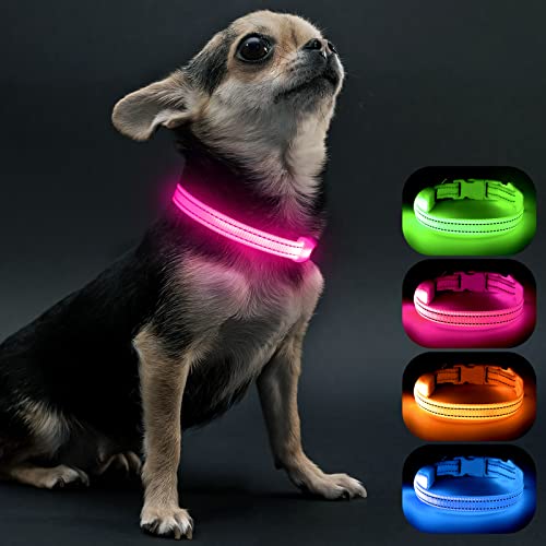 Visinite Leuchthalsband Hund Aufladbar, Wasserdicht Hundehalsband Leuchtend, HundeleuchthalsbäNder...