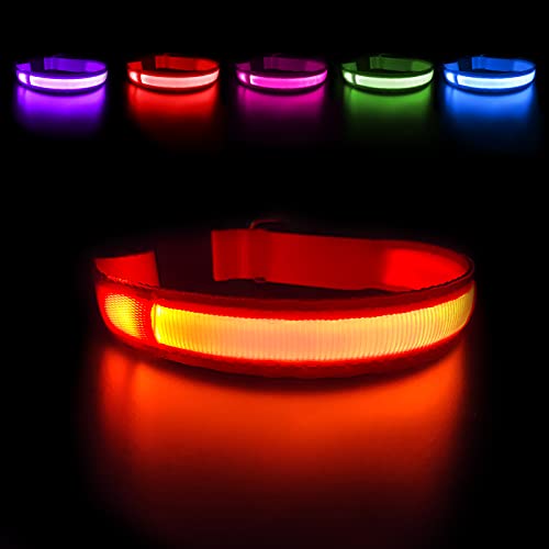 MASBRILL Hundehalsband Leuchtend USB Aufladbar Wasserdichtes LED Leuchthalsband für Kleine Mittlere...