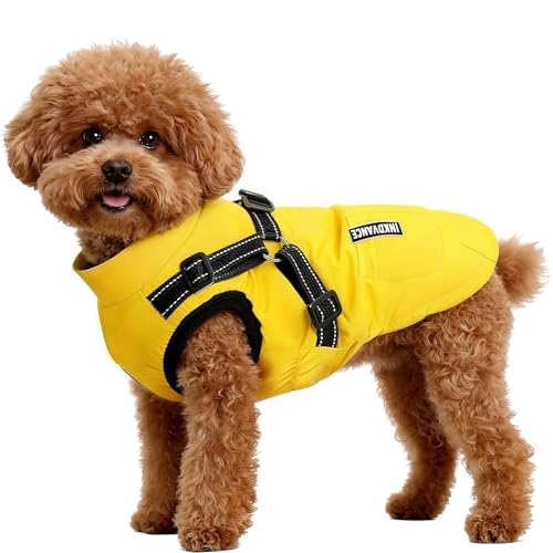 Flow fire Winter Hundemantel Wasserdicht für Mittelgroße Hunde, Hundejacke mit Bauchschutz, Hunde...