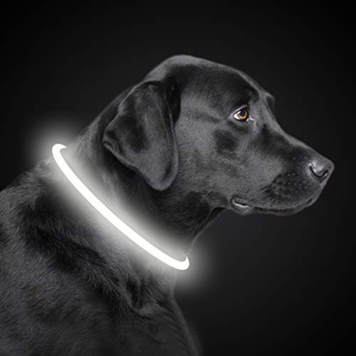 PetIsay LED Leuchthalsband Hund Halsband USB wiederaufladbar, Längenverstellbarer Haustier Sicherheit...