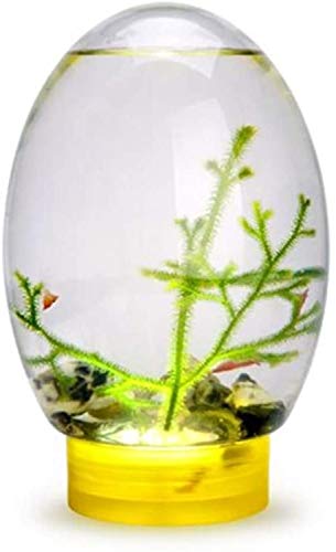 Die besten Nano Aquarium Komplettset zum Einstieg: Der Nano-Cube