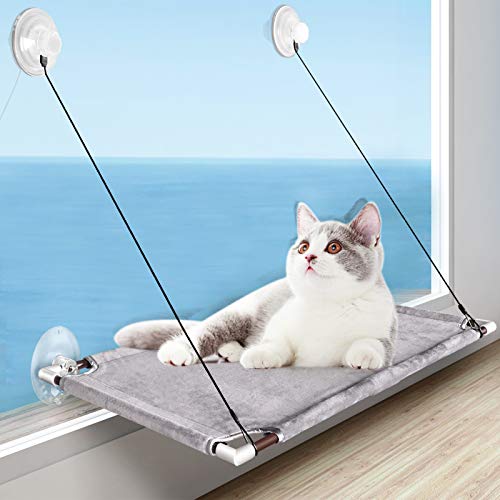 Die 4 besten Fensterplätze für Katzen » Tierischehelden