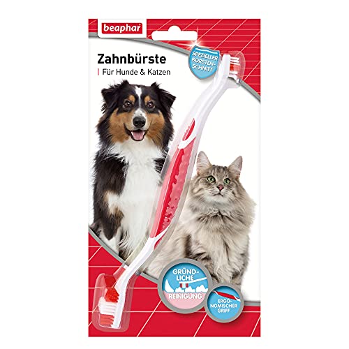 Beaphar Zahnbürste - Für Hunde und Katzen - Mit speziellem Borstenschnitt für gründliche und...