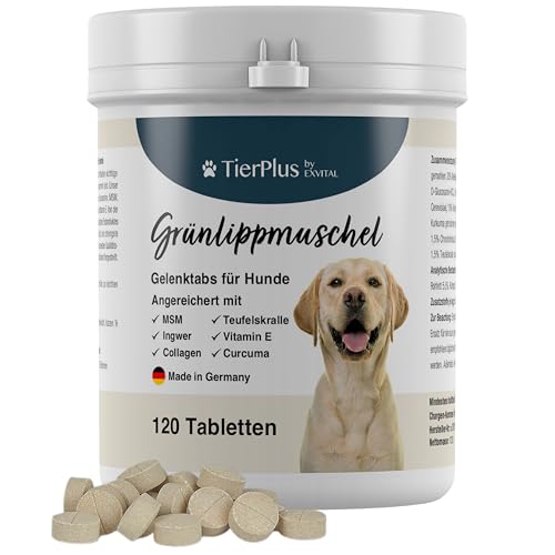 TierPlus Gelenktabletten für Hunde mit Grünlippmuschel, MSM, Ingwer, Chondroitin, Glucosamin und...