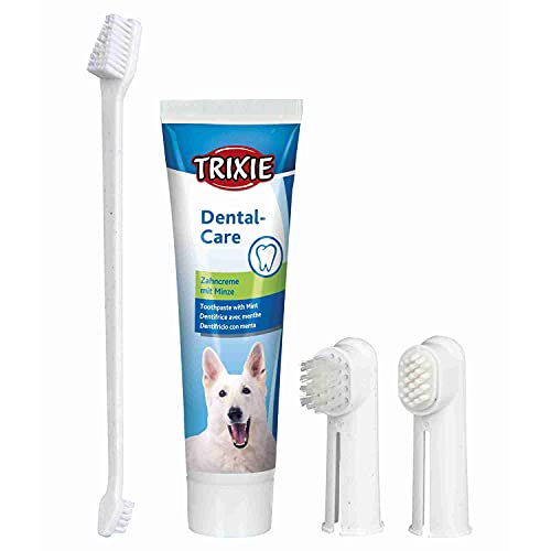 TRIXIE Zahnpflege 4 Stück Satz für Hund, Für die Rundum-Pflege der Hundezähne