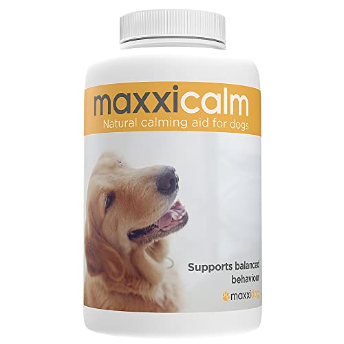 maxxipaws - maxxicalm - Nicht schläfrig beruhigende Ergänzung für Hunde - 60 schmackhafte Tabletten
