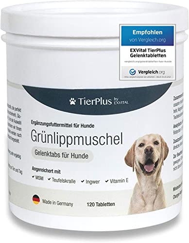 TierPlus Gelenktabletten für Hunde mit Grünlippmuschel, MSM, Ingwer, Chondroitin, Glucosamin und...
