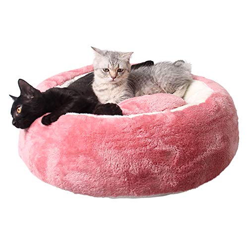 Barlingrock-Haustier-Katzenbett, orthopädisches Plüsch-Ei-Art-Welpen-Bett für Katzen, entfernbares und...