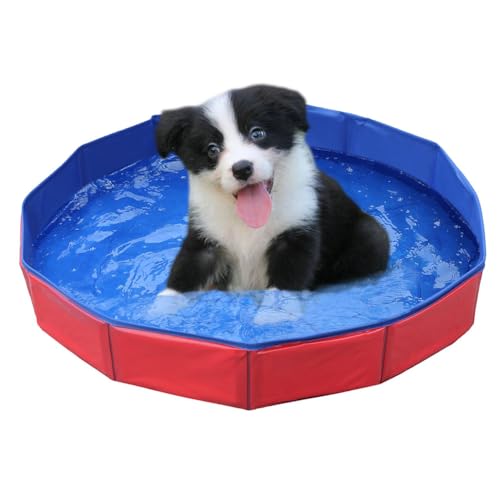 Faltbar Hundepool,Hundepool für Kleine Hunde,Hunde schwimmbecken,PVC Hundepool,Schwimmbad Für...
