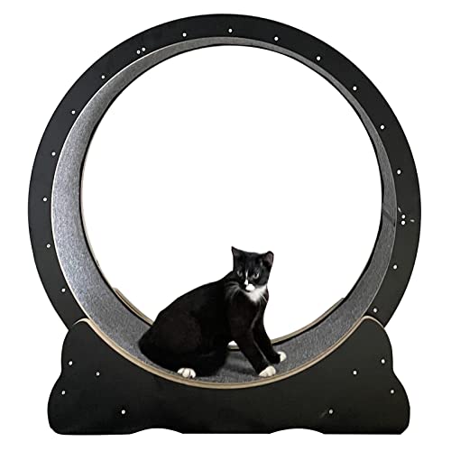 Katzenlaufrad Schwarzes Katzenlaufband Holz, Kleines Mittelgroßes Laufband für Katzen/Laufrad für...