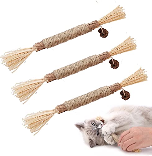 Dorakitten Katzenminzen Sticks, Katzenminze Spielzeug Matatabi Katzen Kauhölzer Silvervine Sticks für...