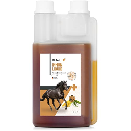 ReaVET Immun Liquid für Pferde 1L - 100% naturbelassenen Kräutermischung, Immunsaft Pferd zur...