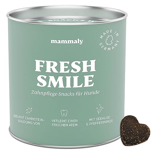 mammaly Fresh Smile Hunde Zahnpflege Snack, Zahnpflege Hund, gegen Hund Mundgeruch, 325g (1 x Dose)