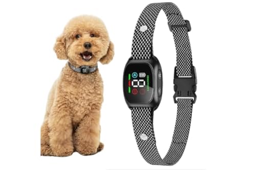 Vibrationshalsband für Hunde – Dual-Mikrofon KI-Filter – Indoor/Outdoor Training