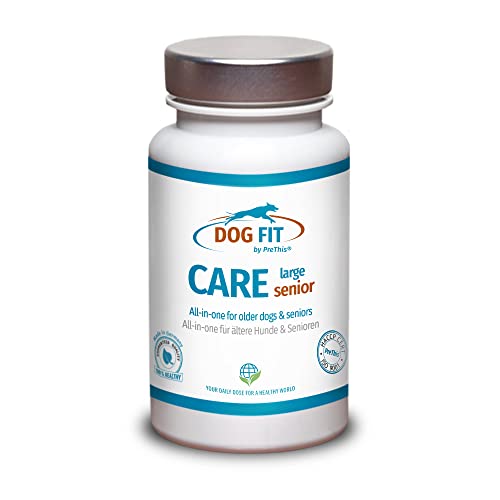 DOG FIT by PreThis® Vitamin B Komplex für Hunde | Large | Vegan | Nervensystem, Inkontinenz,...