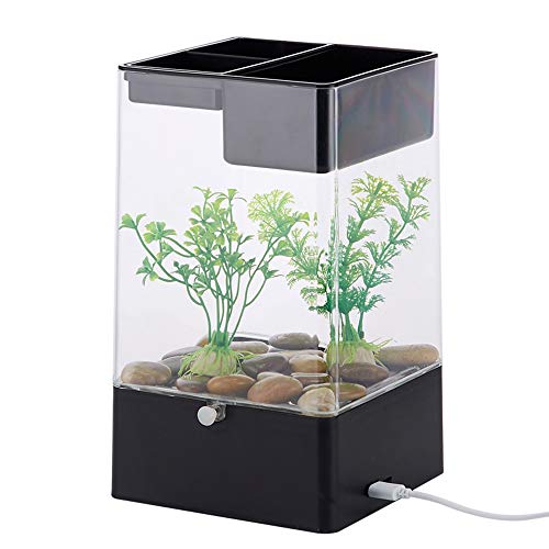 Die besten Nano Aquarium Komplettset zum Einstieg Der