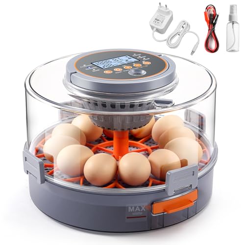 OneAmg Brutautomat Vollautomatisch , Inkubator für 12 Eier mit automatischem Wenden der Eier Temperatur-...
