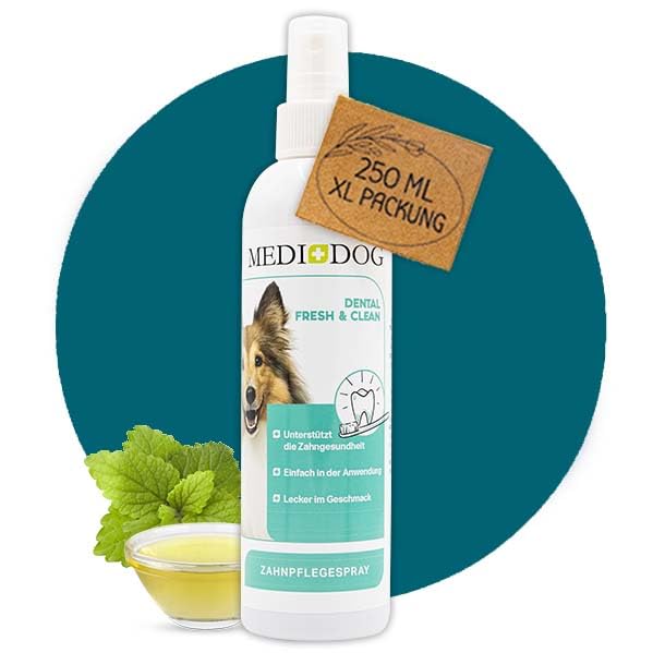 MEDIDOG Dental Fresh & Clean Dentalspray – XL Packung mit 250 ml – Zahnpflege für Hunde –...