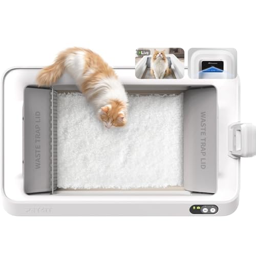 Selbstreinigende Katzentoilette mit Kamera