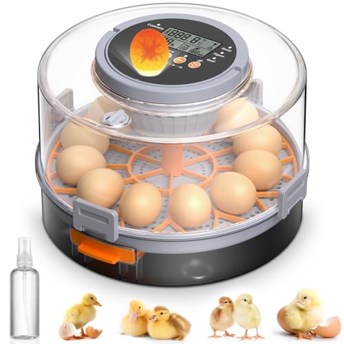 Rsaoty 12 Eier Brutautomat Vollautomatisch, Inkubator Hühner, Brutmaschine Vollautomatisch mit...