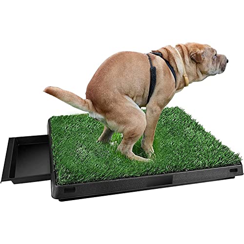 Hompet Hunde-Toilette für den Innenbereich, 63,3 x 50,8 cm, Hunde-Töpfchentraining, Grasmatte,...