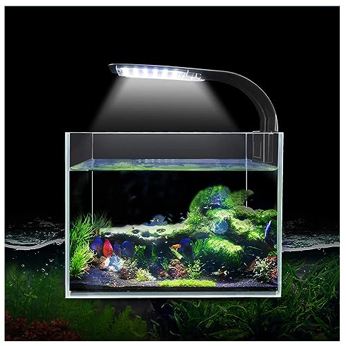 OsAtNb 24 LED Aquarium Licht 10W Aquarium Beleuchtung mit Weiß und Blaulicht LED Wasserpflanzenlicht...